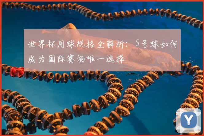 世界杯用球规格全解析:5号球如何成为国际赛场唯一选择
