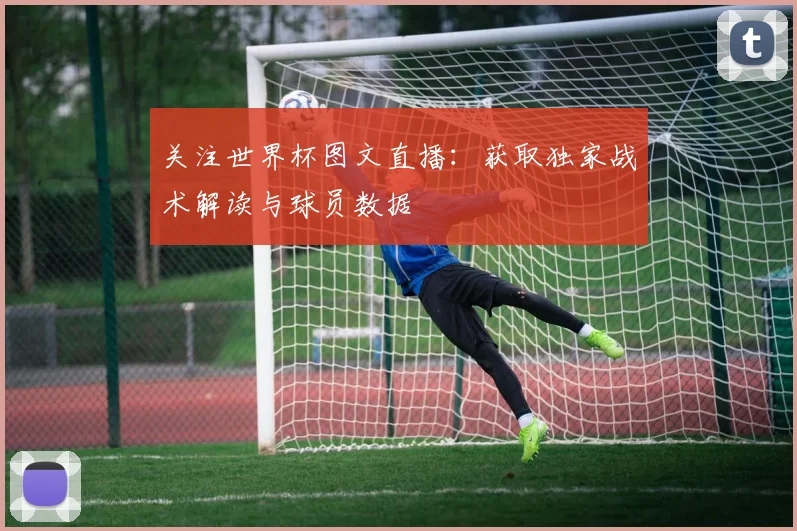 关注世界杯图文直播：获取独家战术解读与球员数据