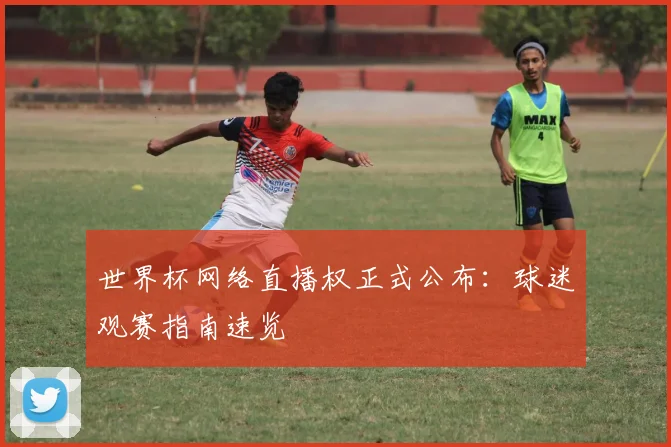 世界杯网络直播权正式公布:球迷观赛指南速览